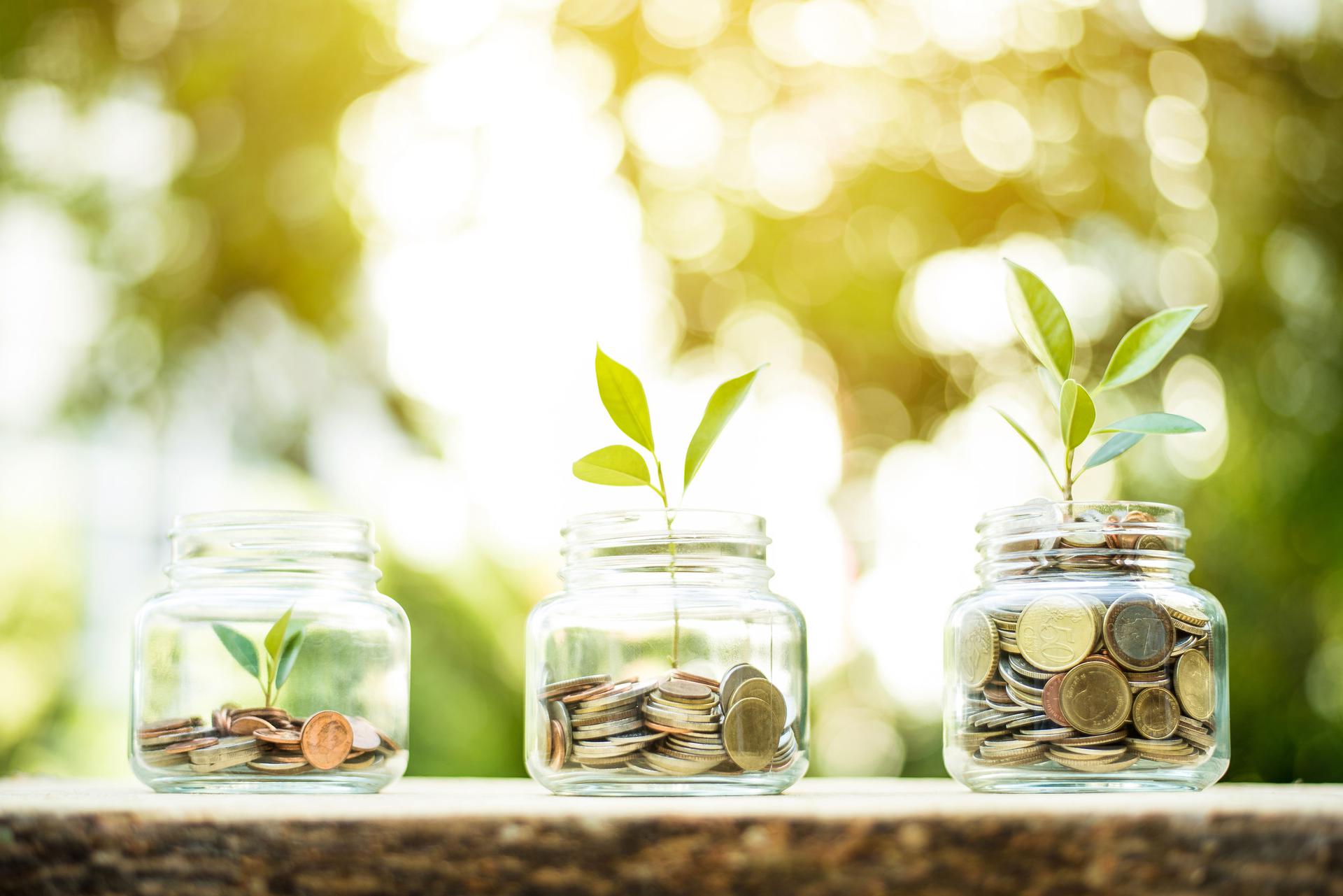 All about Asset Allocation and Diversification